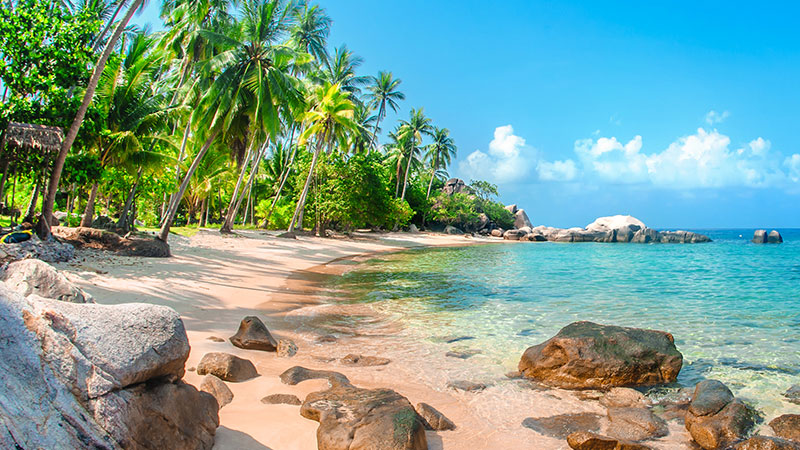 トモダチコレクション わくわく生活